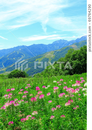 美麗的北阿爾卑斯山，2009年部分：白馬村和北阿爾卑斯山，2009年8月，北阿爾卑斯山和秋葉 69764290
