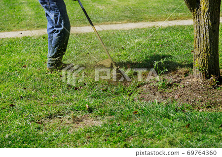 The gardener man mows the grass with a hand lawn mower. 69764360