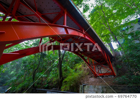[Tokyo] Todoroki Valley [2020] 69764770