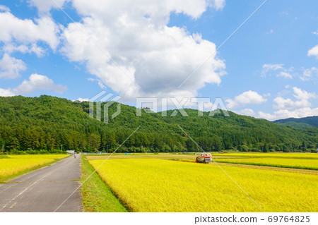 Rural landscape in autumn Rural landscape in autumn 69764825