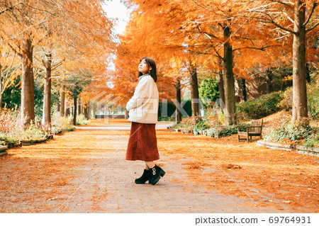 A row of bald cypress trees and women in autumn colors 69764931