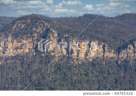A forest near a cliff burnt by bushfire in regional Australia A forest near a cliff burnt by bushfire in regional Australia 69765328