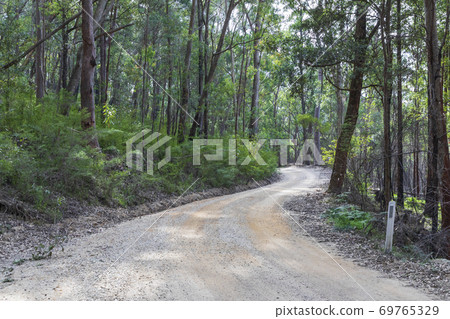 A dirt track in the Wollemi National Park in regional New South Wales A dirt track in the Wollemi National Park in regional New South Wales 69765329