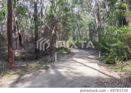 A dirt track in the Wollemi National Park in regional New South Wales A dirt track in the Wollemi National Park in regional New South Wales 69765330