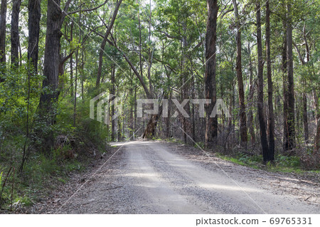 A dirt track in the Wollemi National Park in regional New South Wales A dirt track in the Wollemi National Park in regional New South Wales 69765331