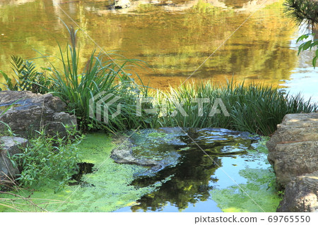 筱bi町的水木公園和西式建築,前筱bi町信用社 筱bi町的水木公園和西式建築,前筱bi町信用社 69765550