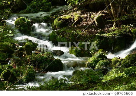 來自Nisawa泉水的泉水 69765606