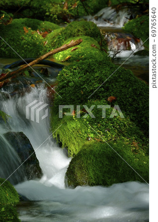 Flow from the source of the Shojinzawa springs 69765640