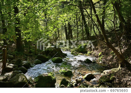 Flow from the source of the Shojinzawa springs 69765693
