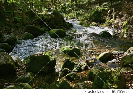 來自Nisawa泉水的泉水 69765694