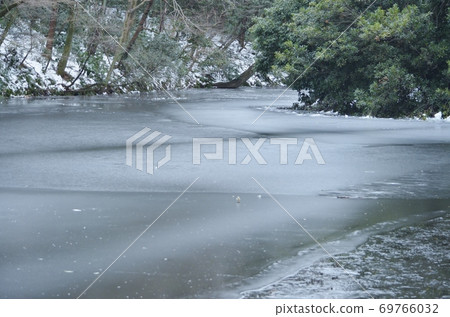 明治神宮御苑南池加冰 69766032