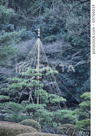 明治神宮御苑南池加冰 明治神宮御苑南池加冰 69766034