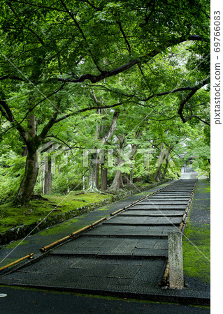 Dark green Bishamon-do 69766083