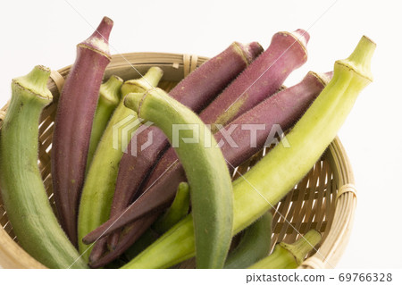 秋葵的2種類型的分類 69766328