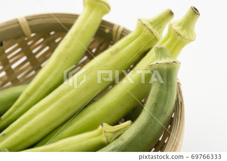 Okra in the basket Okra in the basket 69766333