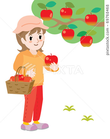Female, apples, picking Female, apples, picking 69768468