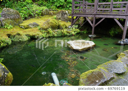 三陸地質公園龍泉洞池塘 69769119