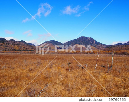 Senjogahara的草秋葉 Senjogahara的草秋葉 69769563