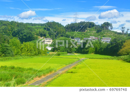 從本田島站到金谷站的東海道本線的火車窗口風景 69769748
