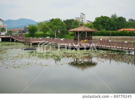 Korean small pond and wooden bridge Korean small pond and wooden bridge 69770245