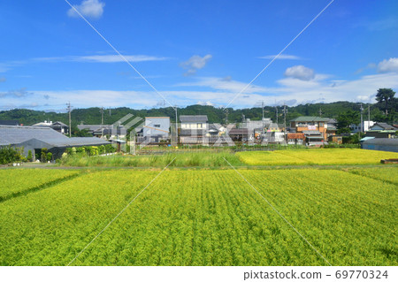 從金谷站到沼津站的東海道本線的火車窗口風景 69770324