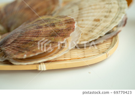 冬季和夏季都有美味的扇貝 冬季和夏季都有美味的扇貝 69770423