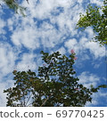sky 69770425