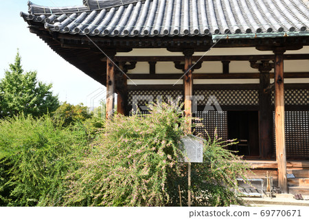 gi花開的本館本館 69770671