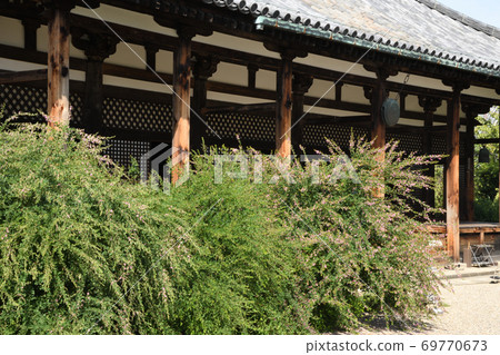 gi花開的本館本館 69770673