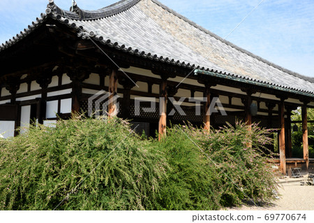 gi花開的本館本館 69770674