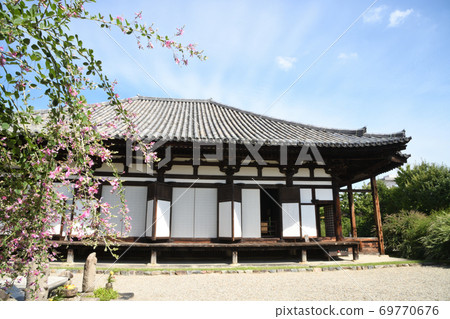 gi花開的本館本館 69770676