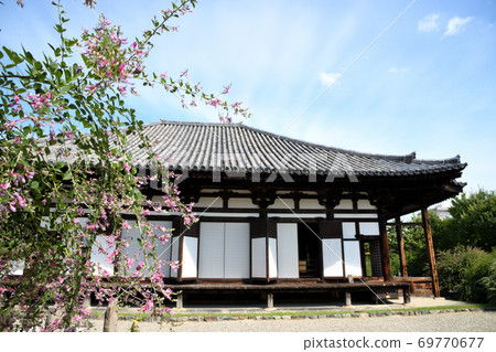 gi花開的本館本館 69770677