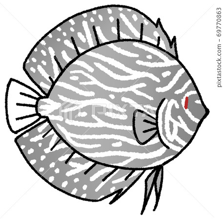 Discus (gray) - Stock Illustration [69770863] - PIXTA