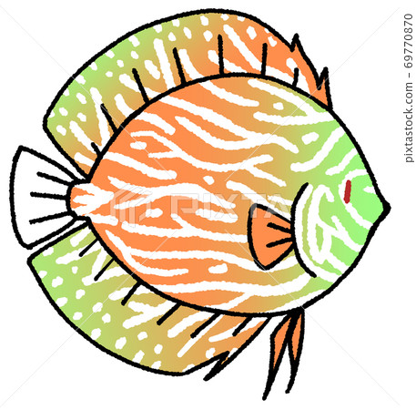 Discus (orange) - Stock Illustration [69770870] - PIXTA