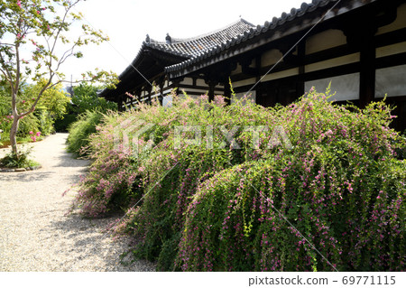 薩爾茲伯里和ha花盛開的Motokoji禪室 69771115