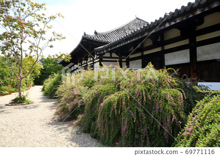 薩爾茲伯里和ha花盛開的Motokoji禪室 69771116