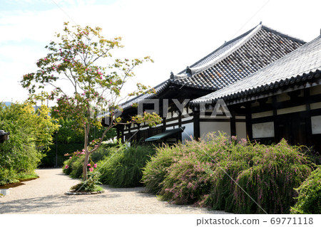 薩爾茲伯里和ha花盛開的Motokoji禪室 69771118