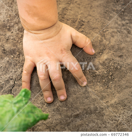 Child hand touch dry soil background 69772346