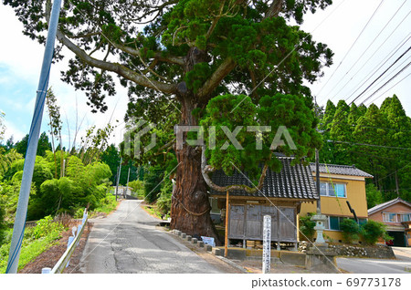 愛宕神社杉州市株洲市 69773178