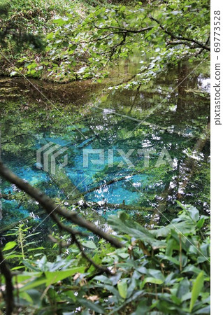 Konoike Pond (Kiyosato-cho, Hokkaido) 69773528