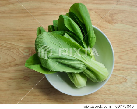 Fresh organic green leafy vegetables bok choy 69773849