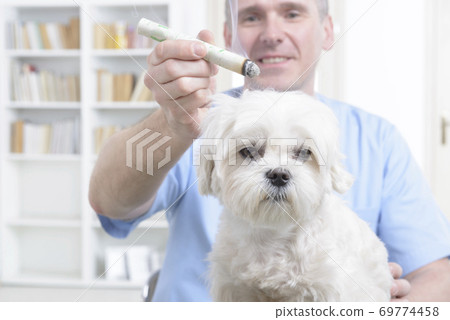 Vet doing moxa treatment 69774458