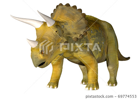 Triceratops 69774553