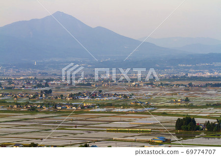 Tadami Line train running through the paddy fields at dusk, Aizumisato Town, Fukushima Prefecture 69774707