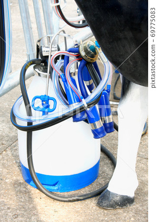mechanized milking equipment 69775083