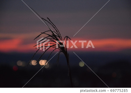 鈴木染成夕陽 鈴木染成夕陽 69775285