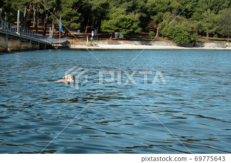 Naked woman on the nudist beach 69775643