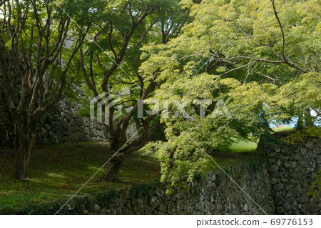 Tsuyama Castle Tsuyama Castle 69776153