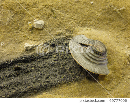 Roswell UFO Museum Roswell UFO Museum 69777006