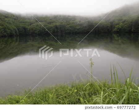 Iinouma Iinouma 69777272